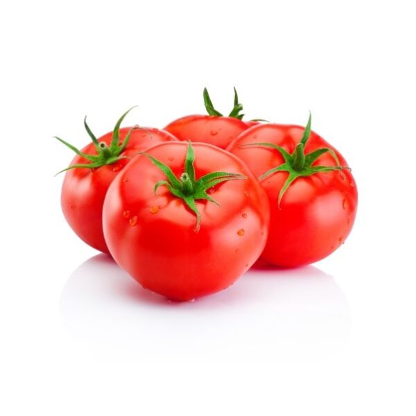 Tomato
