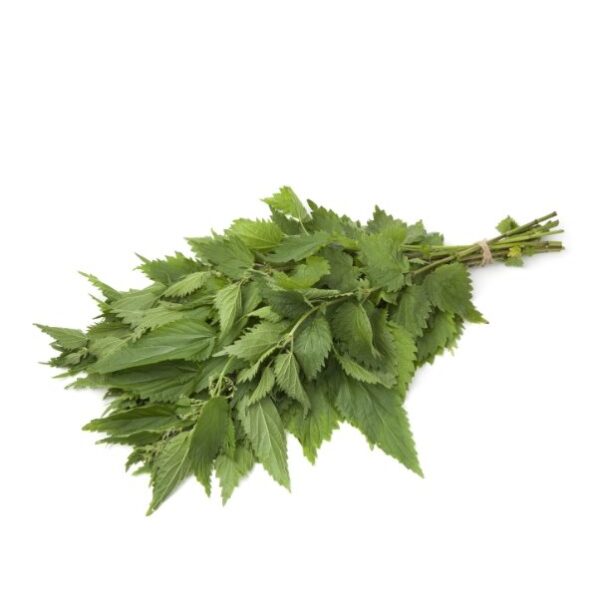 Green beans – 1 Kg