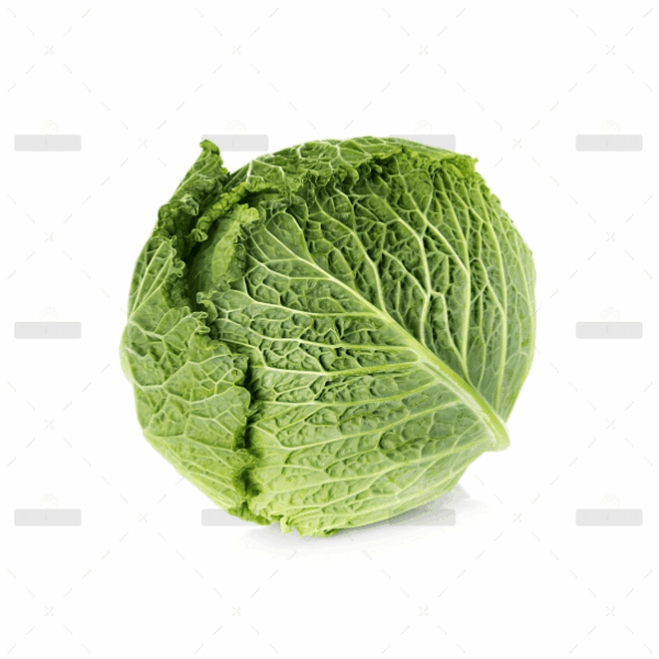 Organic Lentil Sprouts